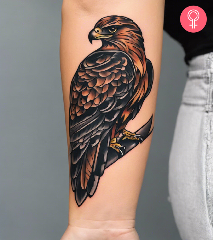8 Majestic Hawk Tattoo Ideas For Wildlife Warriors