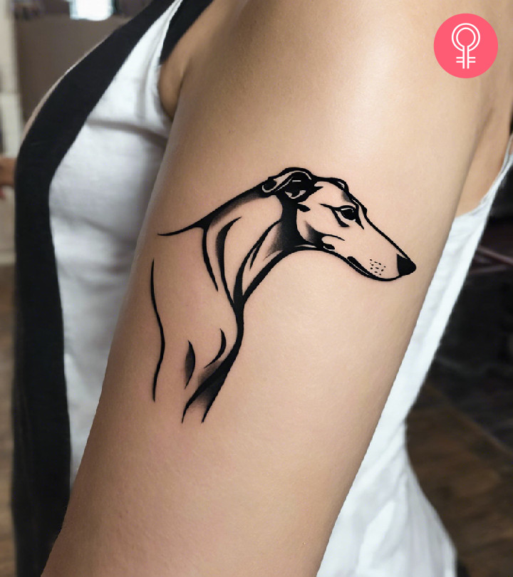 8 Amazing Greyhound Tattoo Designs And Their Meanings