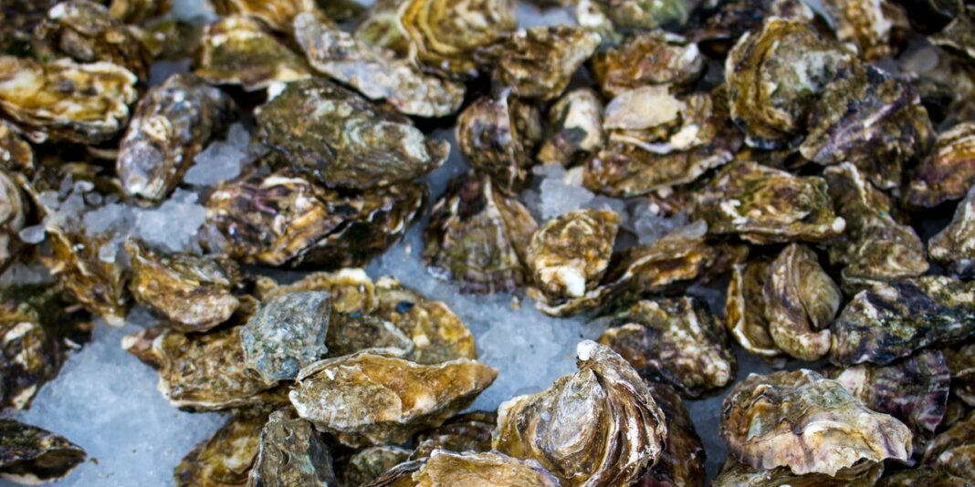 What Is Paralytic Shellfish Poisoning? FDA Recalls Oysters and Clams Linked to Serious Toxin