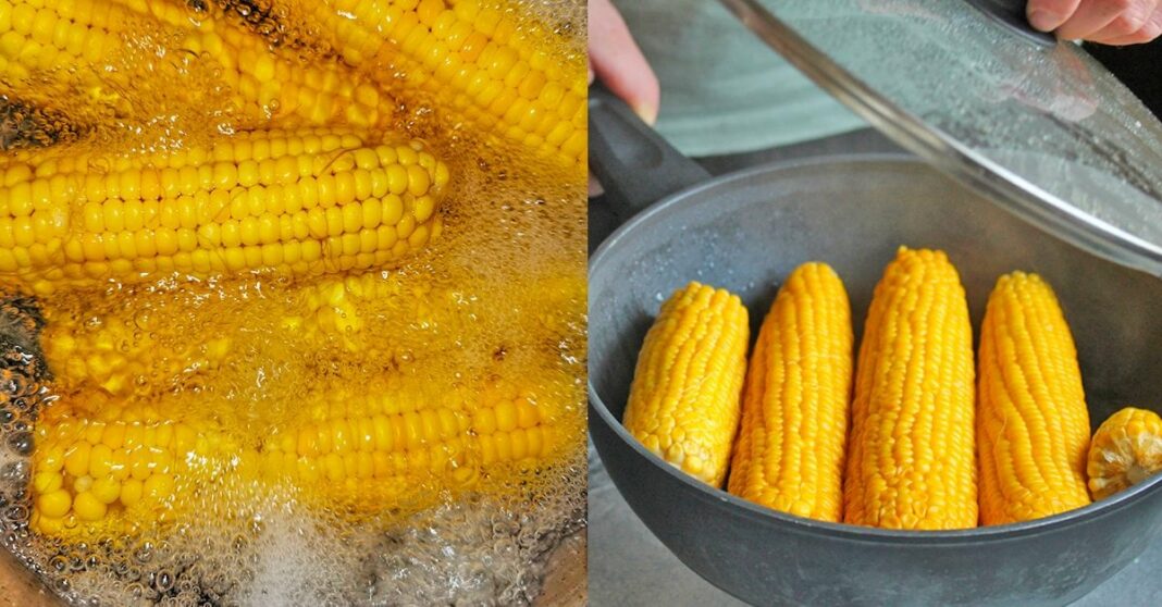 The Reasons Why You Should Never Boil Corn on The Cob (You're Going to Be Grateful To Know)